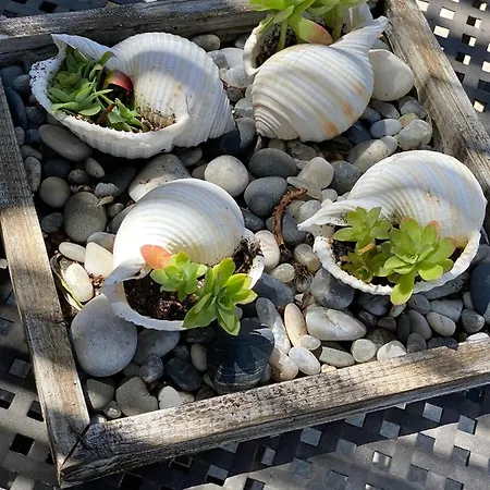 Cozy بيت للعطل *