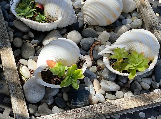 Cozy Σπίτι διακοπών *