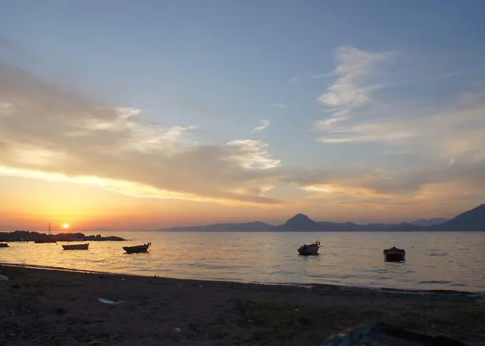 Cozy * 帕特雷